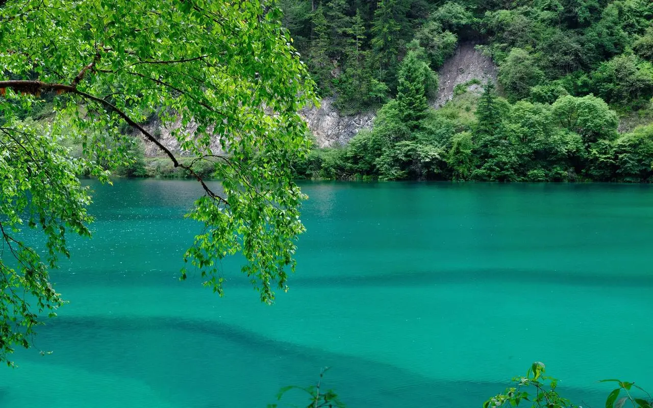 高端高性能